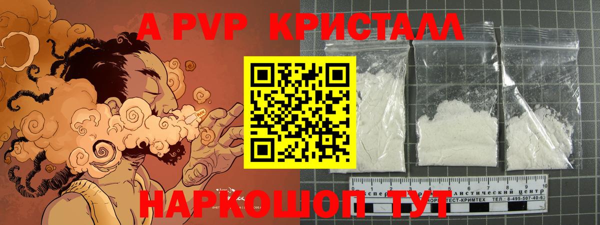 APVP СК Саранск