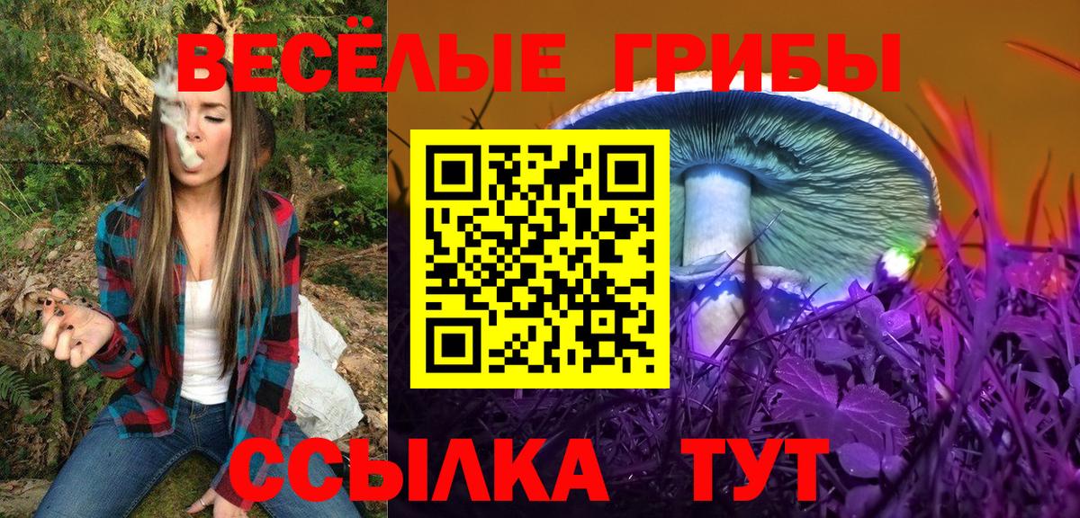 Саранск  Гашиш  Бошки Шишки  Меф кристаллы  Вход с VPN  Марихуана  COCAIN 