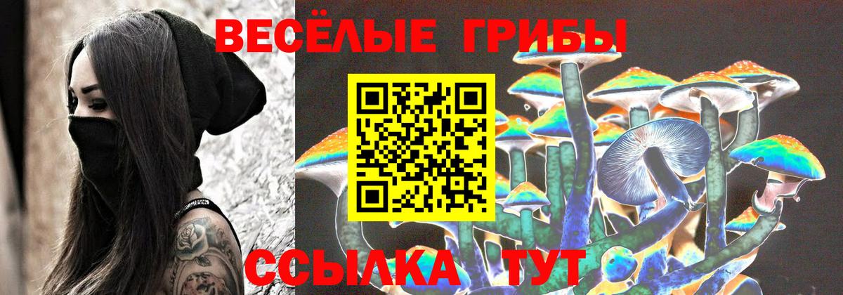 Псилоцибиновые грибы Cubensis Саранск