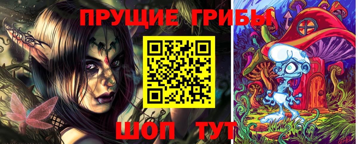 Саранск  Псилоцибиновые грибы GOLDEN TEACHER  Вход с VPN 
