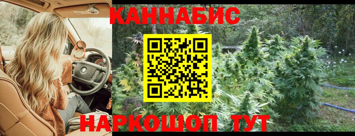Канабис план Саранск